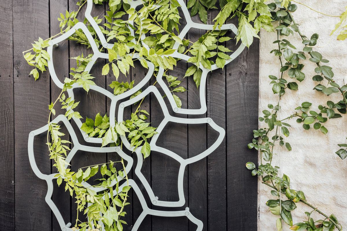 Ecoo