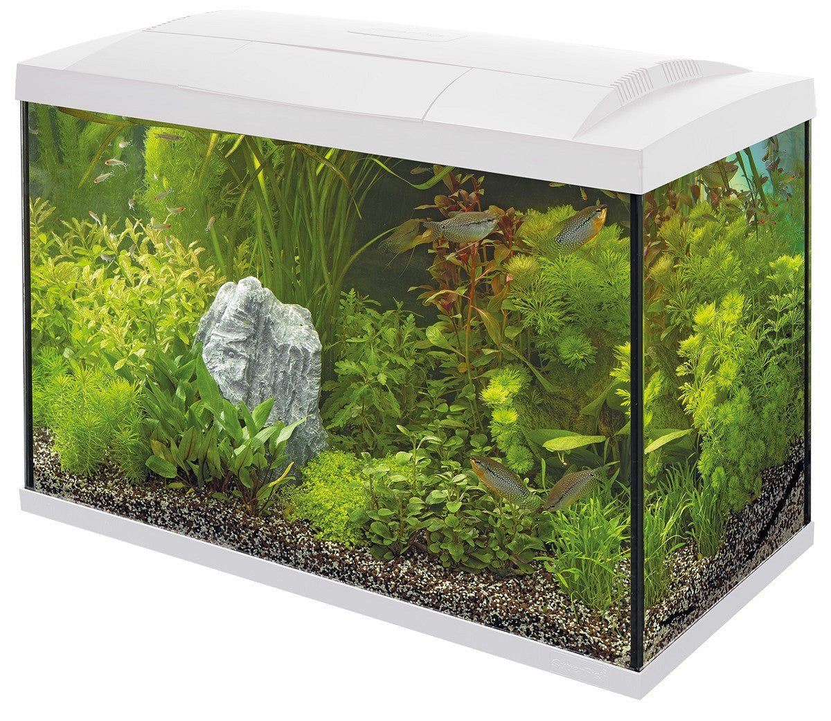 SuperFish START 70 60 L blanc — aquarium