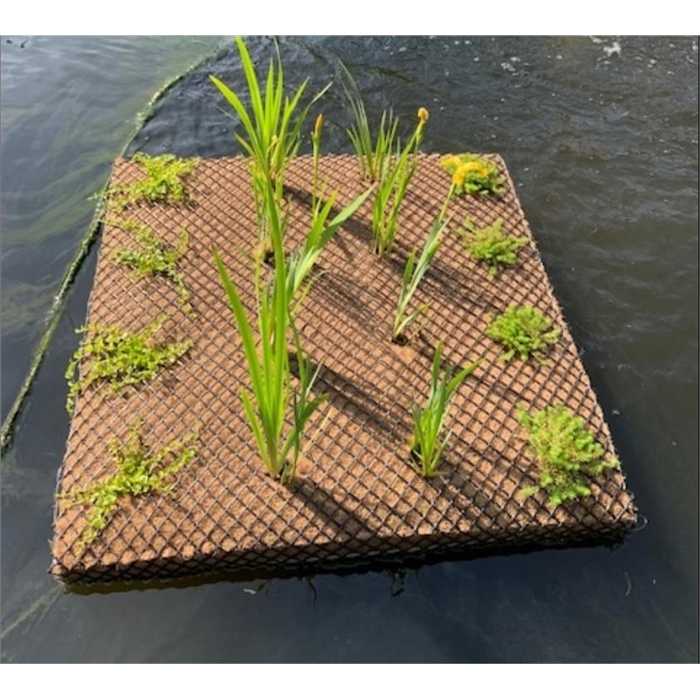 Îlot flottant pour plantes 1 x 1 m, 25 emplacements