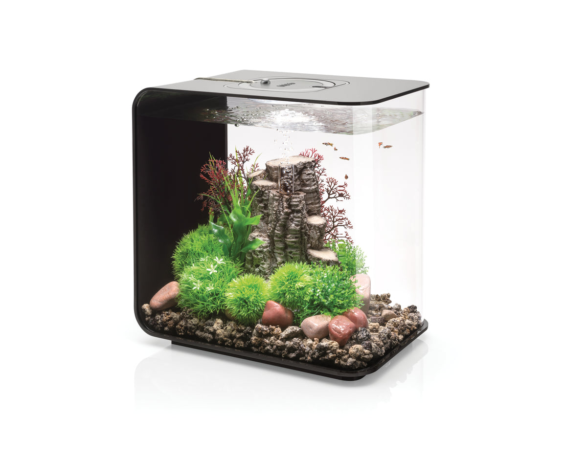 Aquarium biOrb FLOW 30 LED noir — biOrb FLOW 30 LED zwart