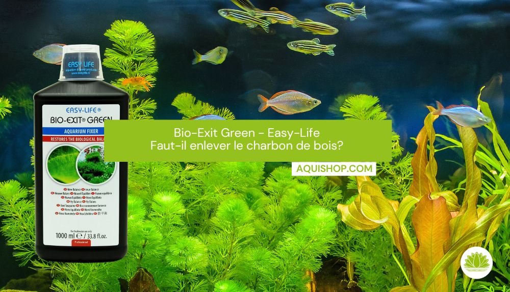 Bio-Exit Green - Easy-Life - Faut-il enlever le charbon de bois?