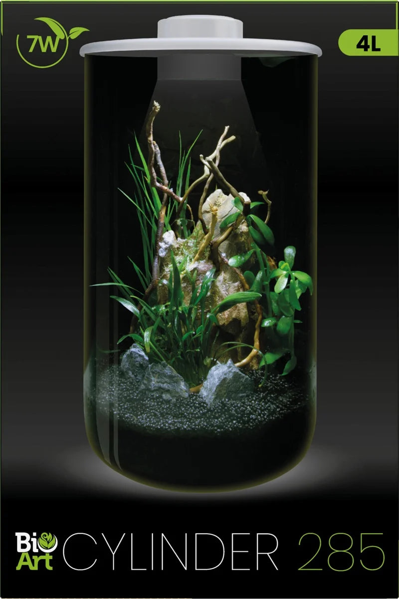 SF Bio art cylinder 285 blanc