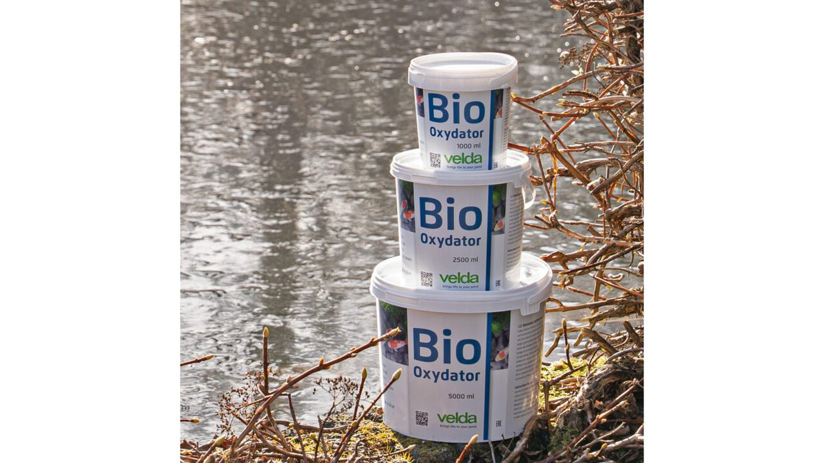 Bio-Oxydator 1000 ml - Velda