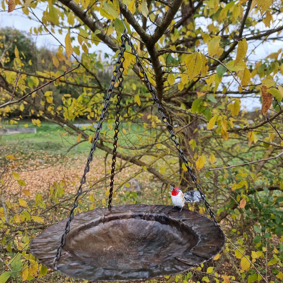 Abreuvoir coupelle à suspendre