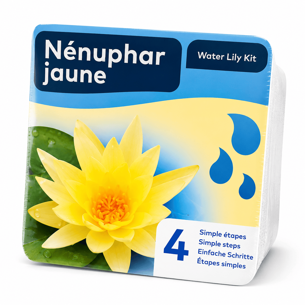 Aquipond Nénuphar jaune en kit sec – Nymphaea prêt à planter (panier inclus)