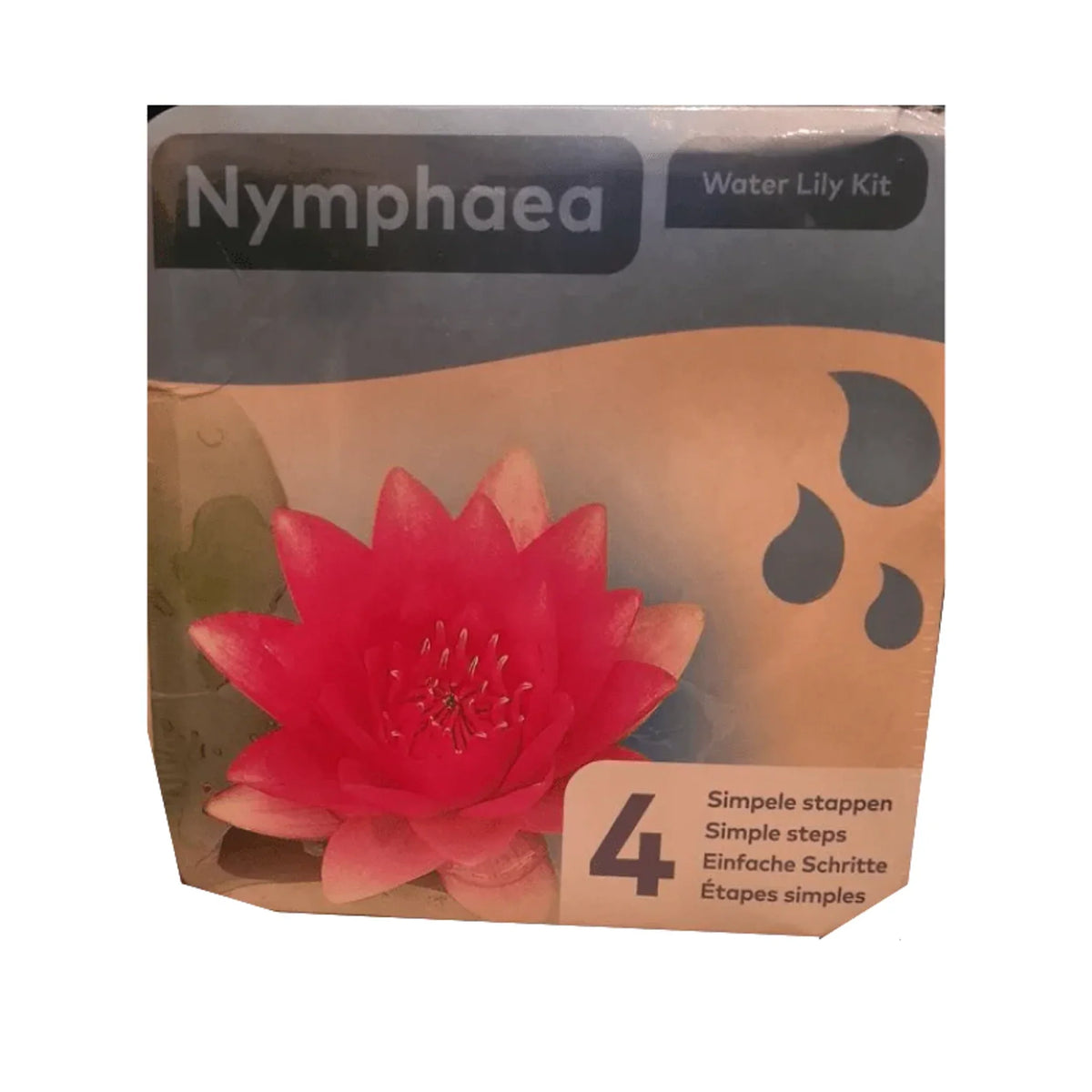 Aquipond Nénuphar rouge en kit sec – Nymphaea prêt à planter (panier inclus)