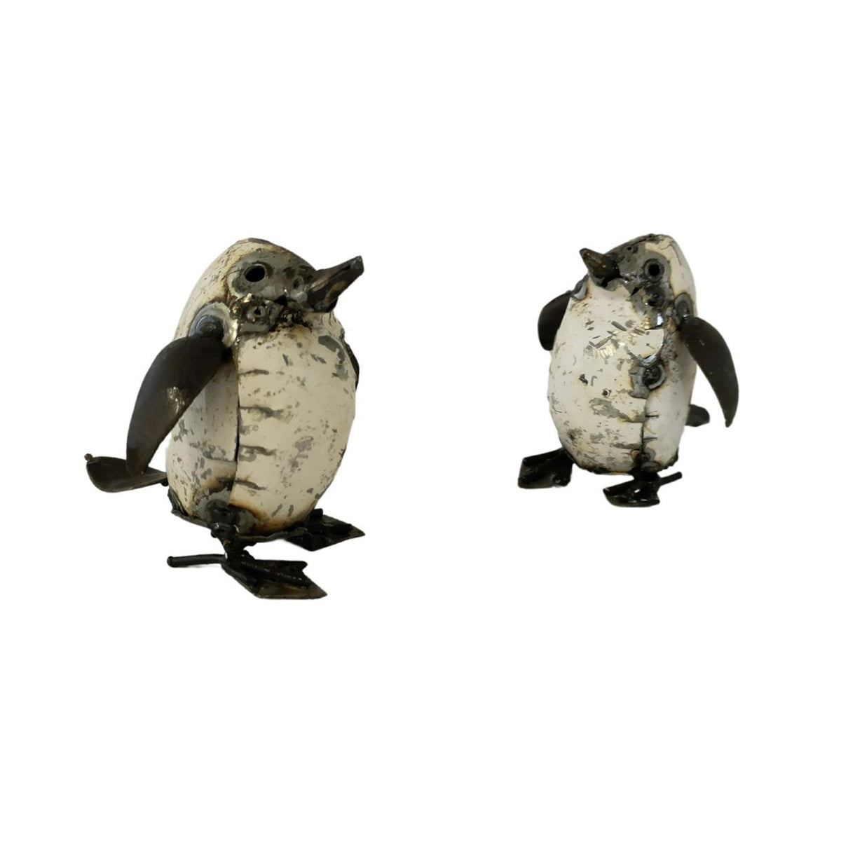 Bébé pingouin