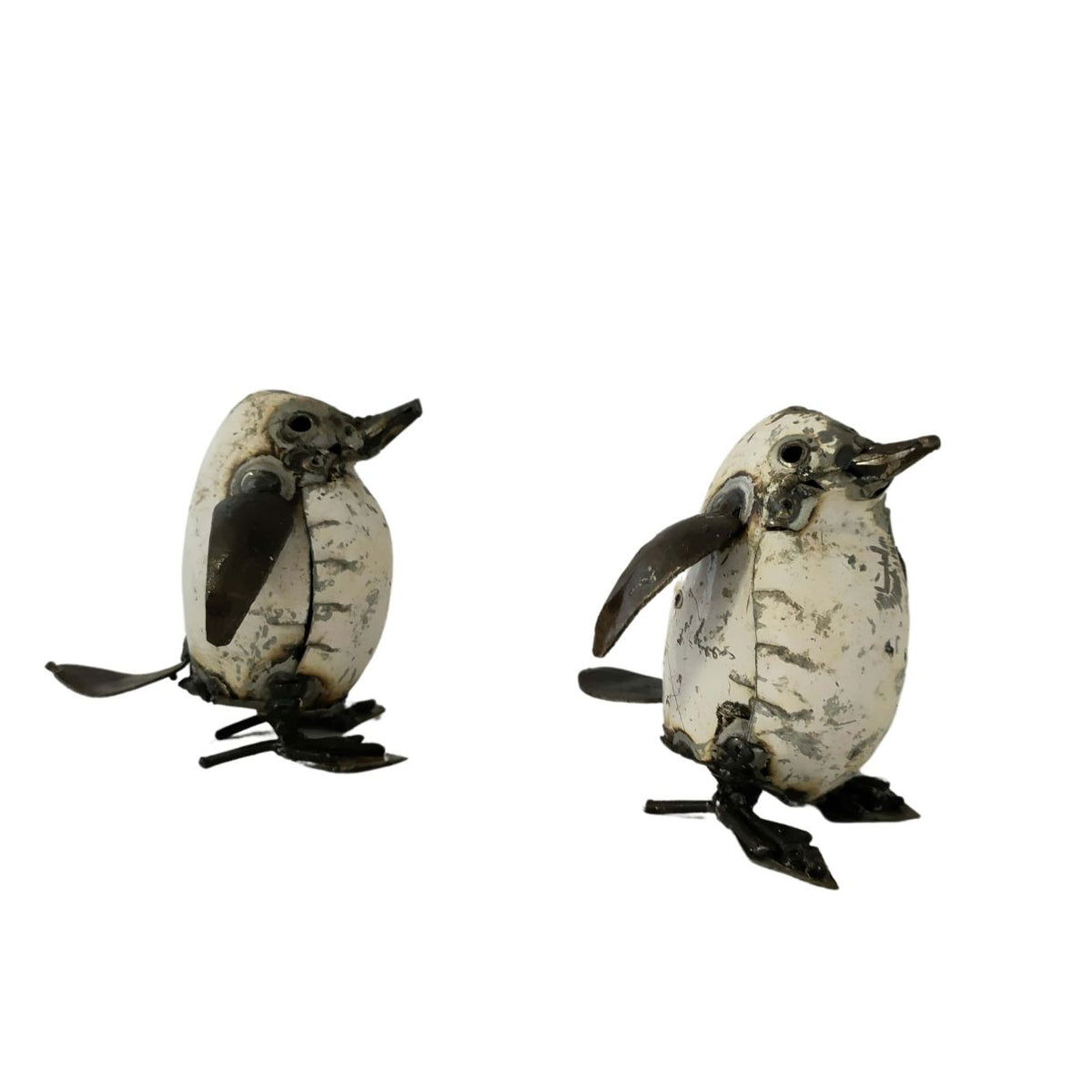 Bébé pingouin