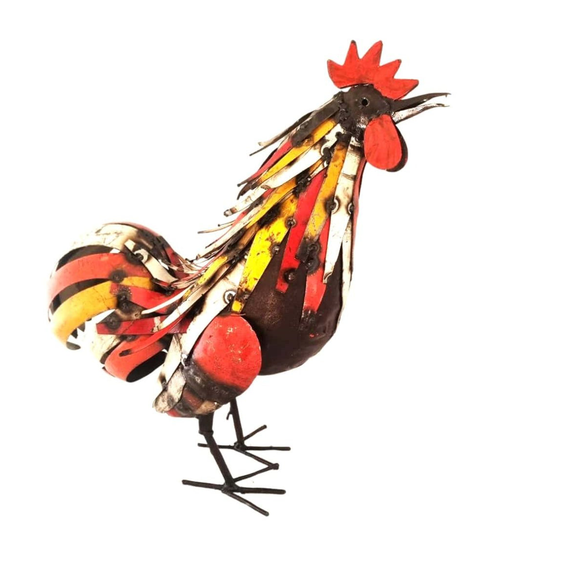 Coq plumage multi couleur chantant