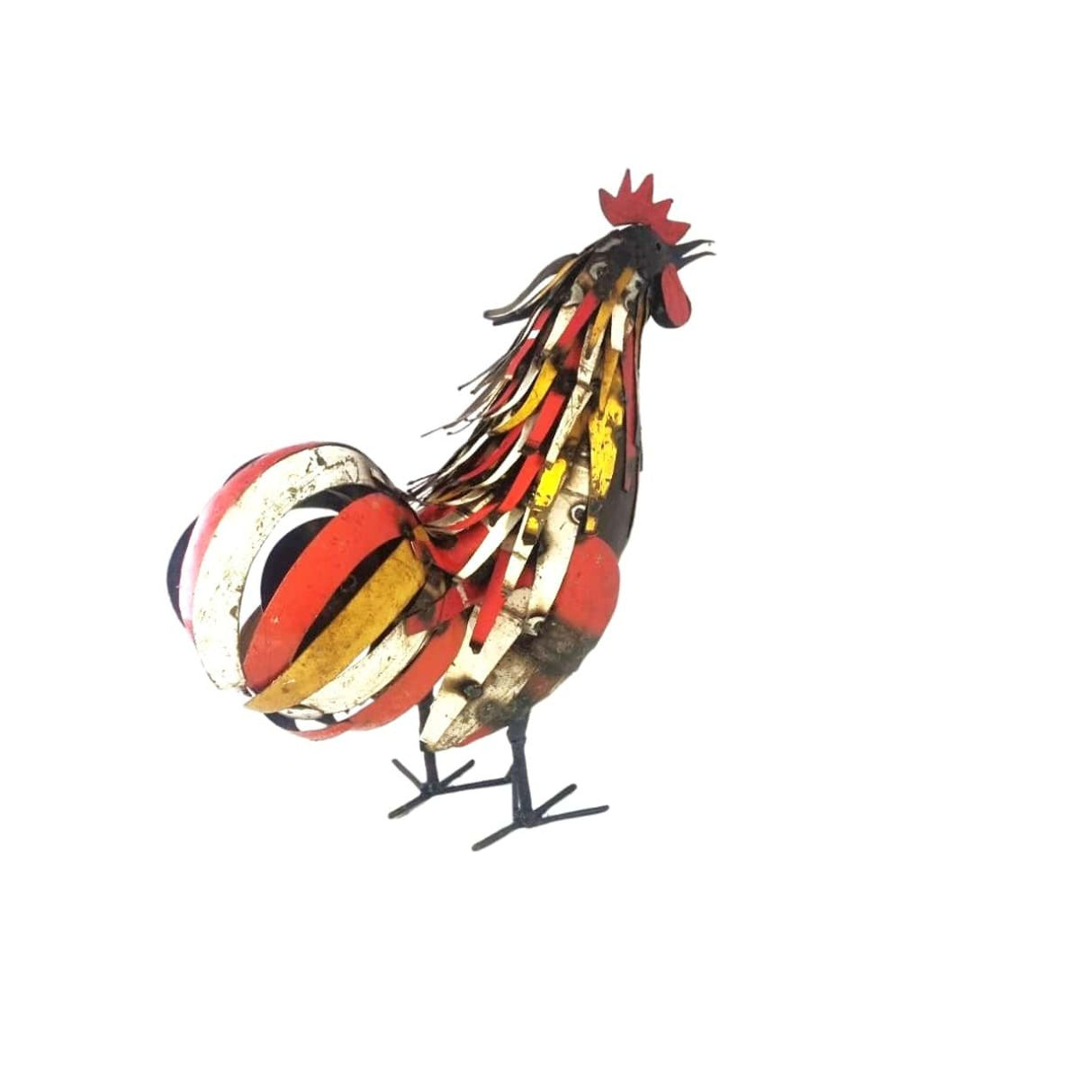 Coq plumage multi couleur chantant