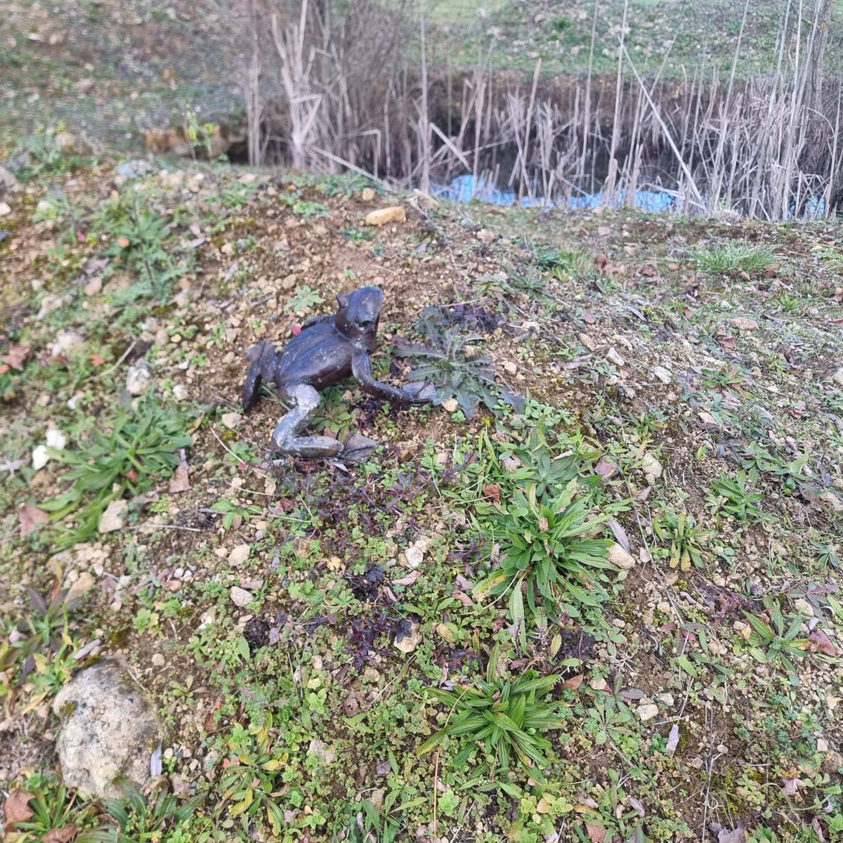 Crapaud métal