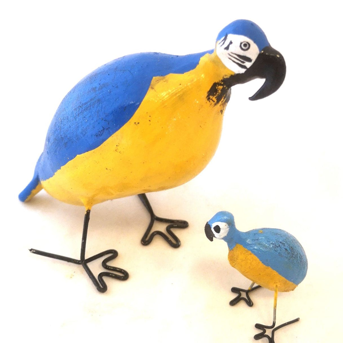Famille Baobab Perroquet Ara