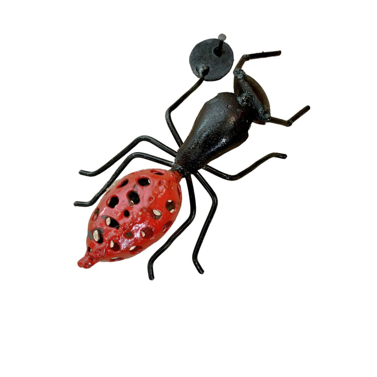 Fourmis grillage rouge 10cm