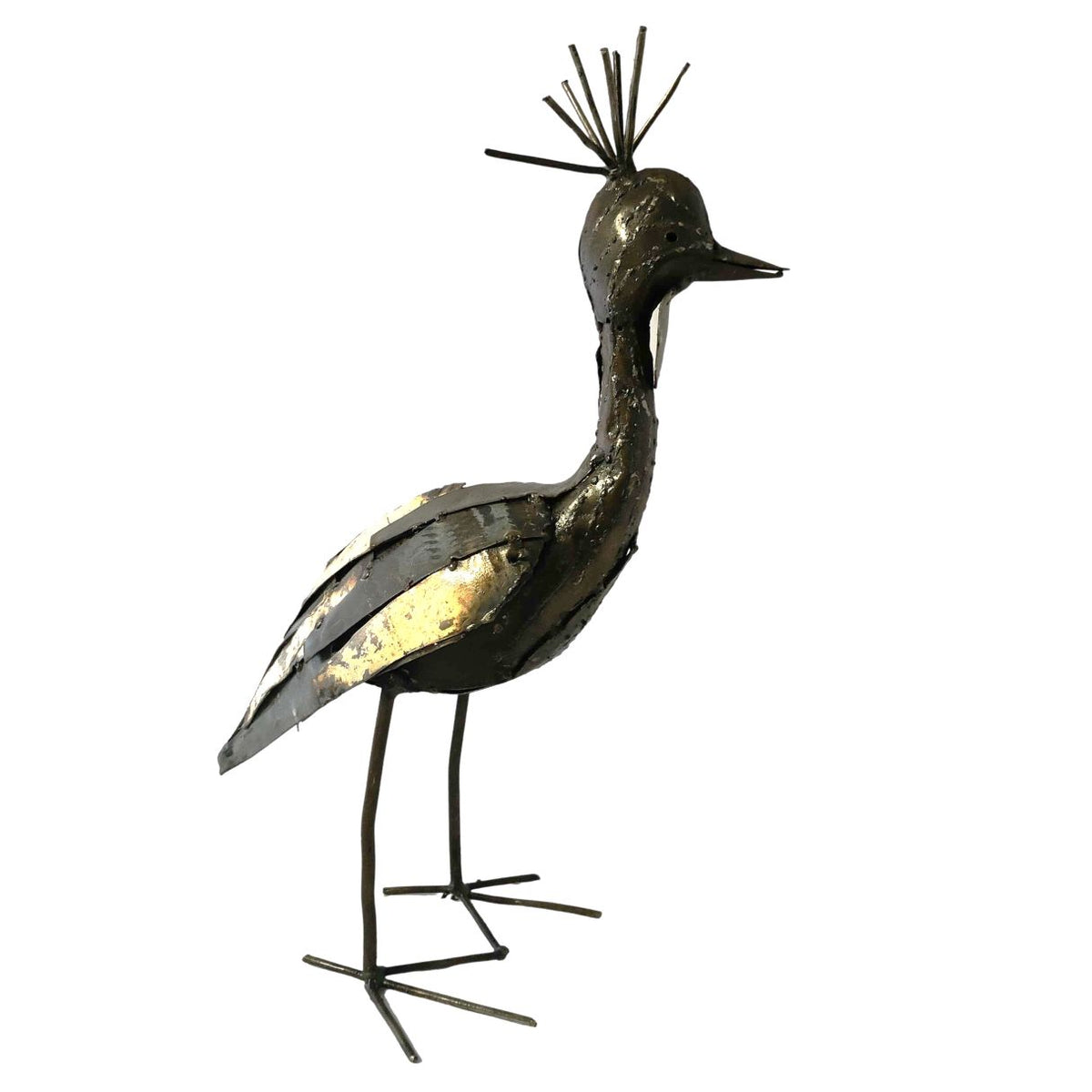 Grue couronnée plumage 40cm