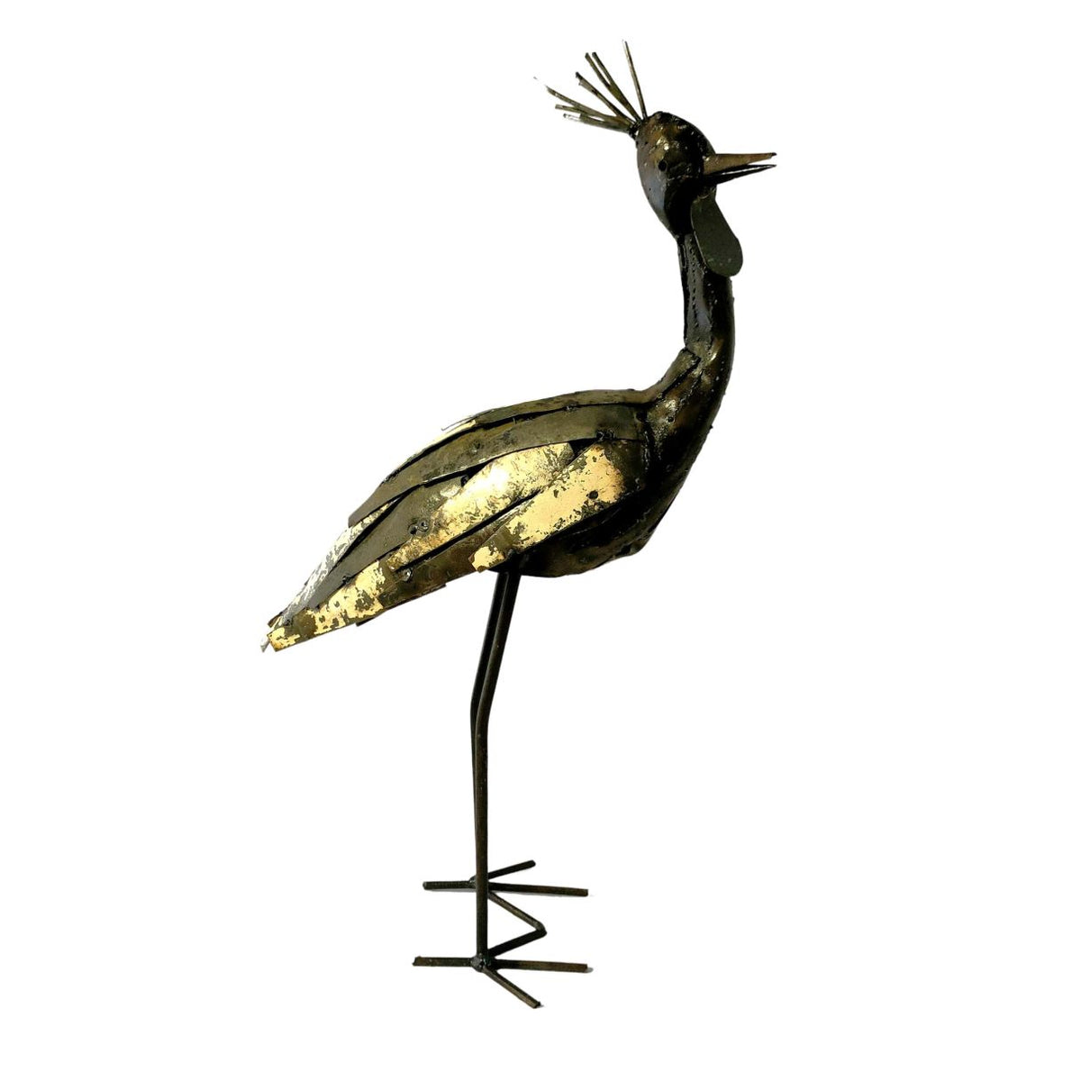 Grue couronnée plumage 60cm