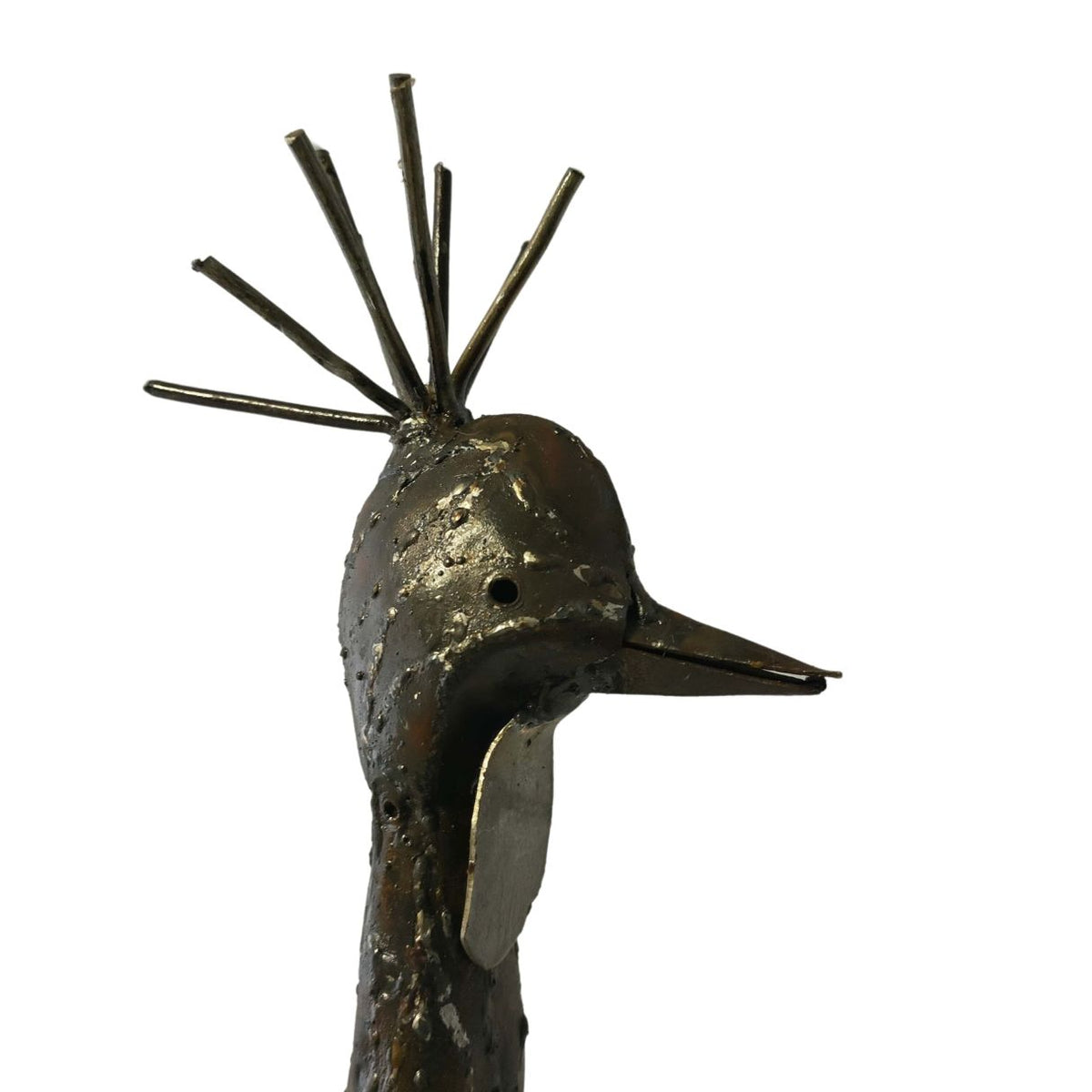 Grue couronnée plumage 90cm