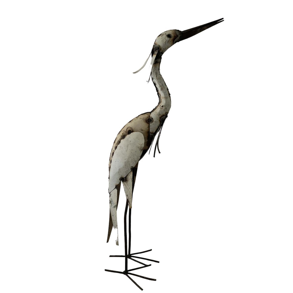 Heron pourpre blanc TAW