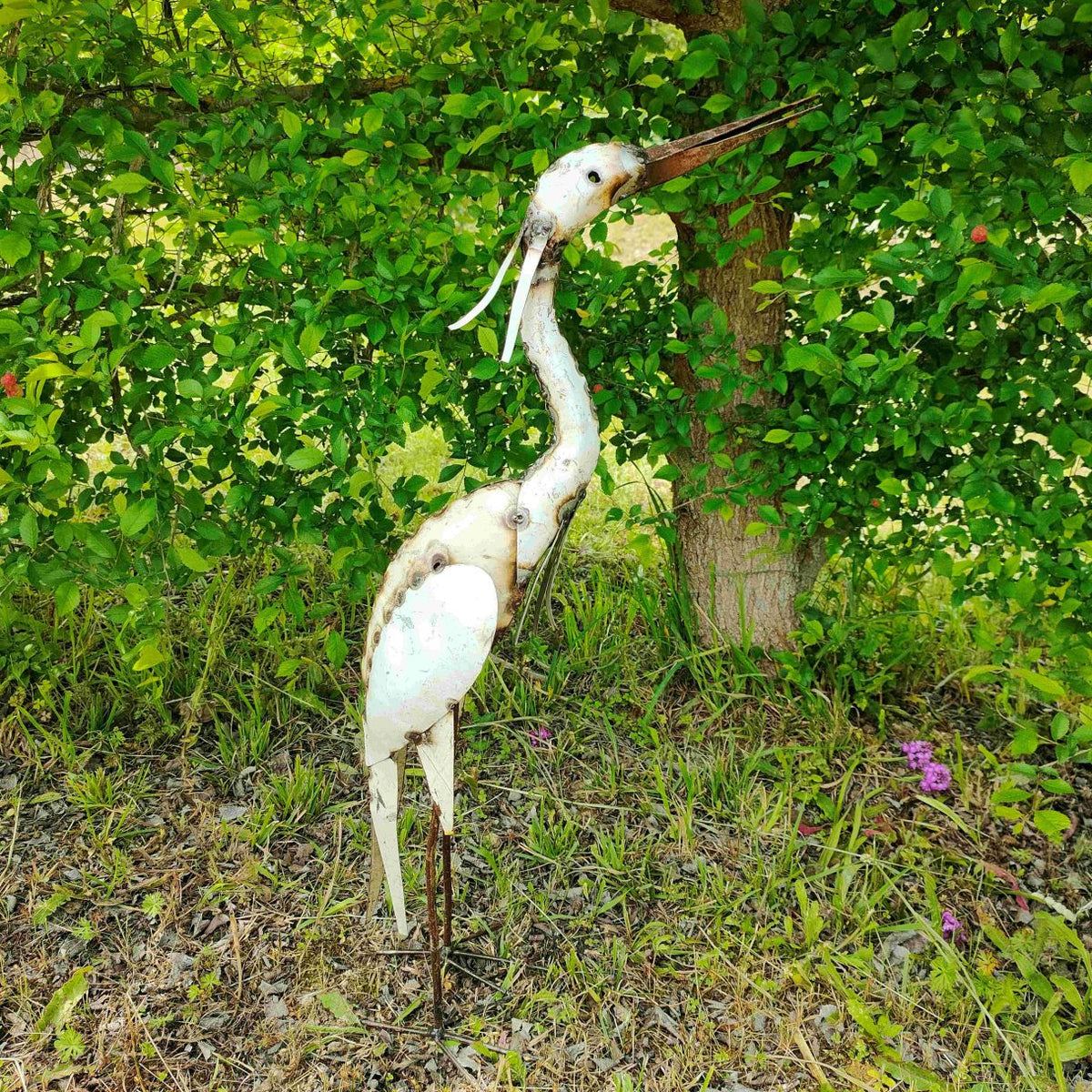 Heron pourpre blanc TAW