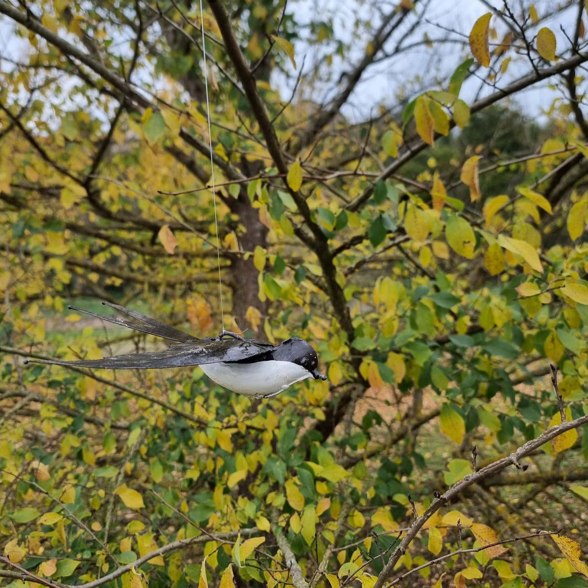 Hirondelle Blanche en vol à suspendre
