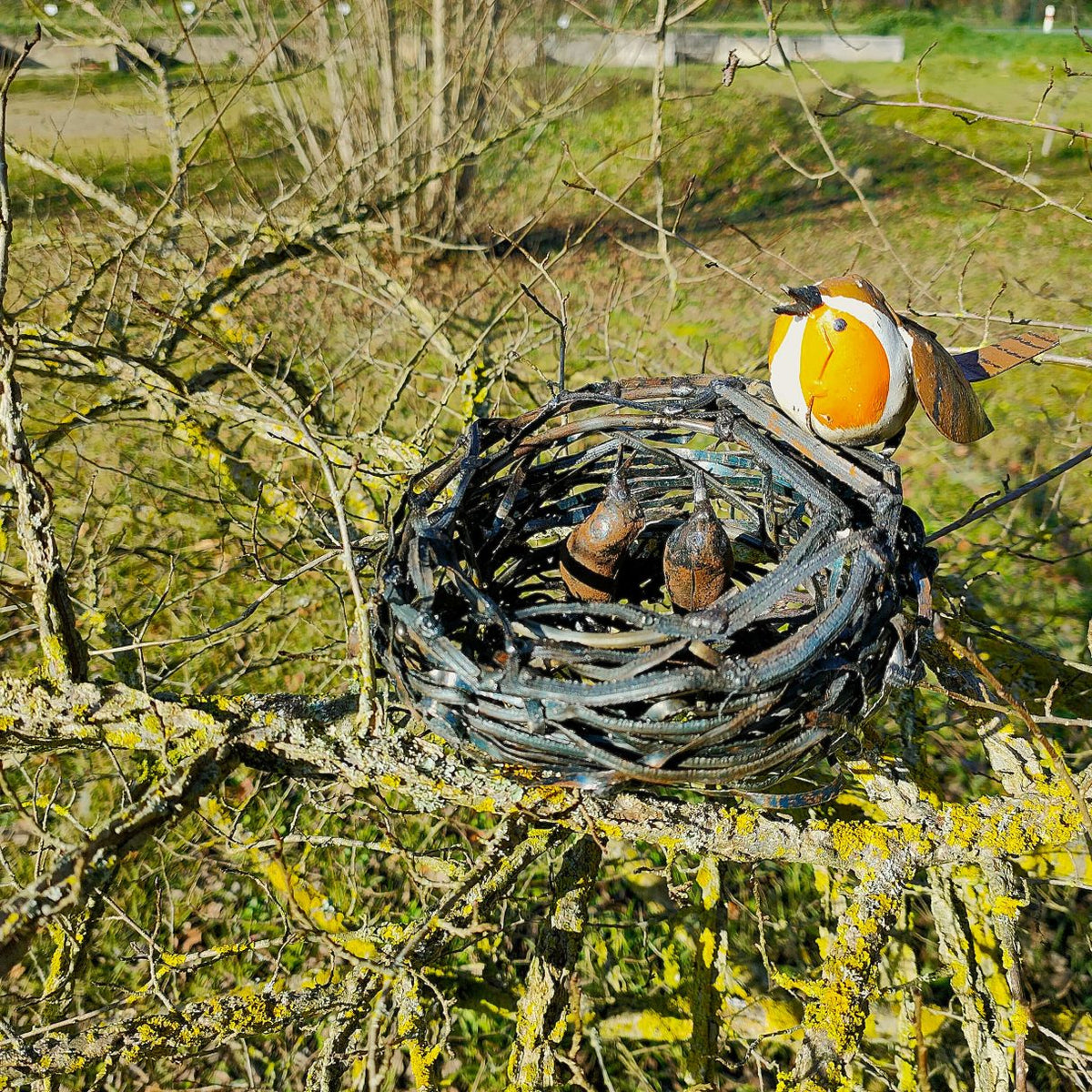 Nid branchage troglodyte mignon