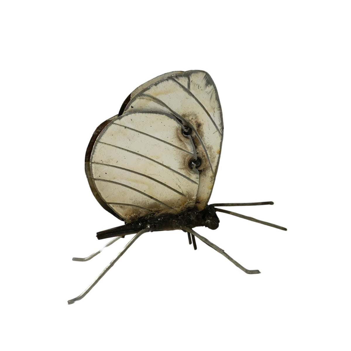 Papillon à poser blanc