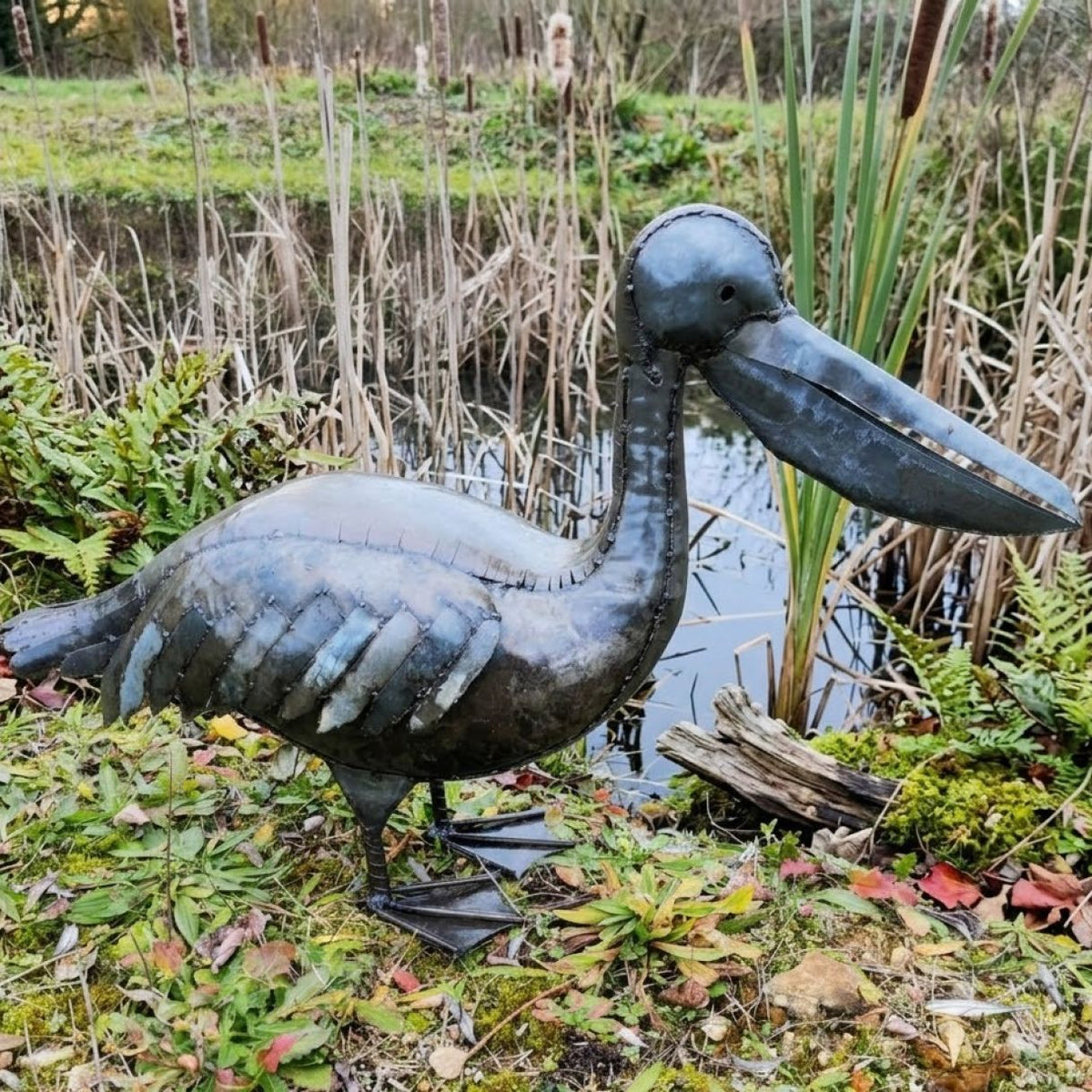 Pelican