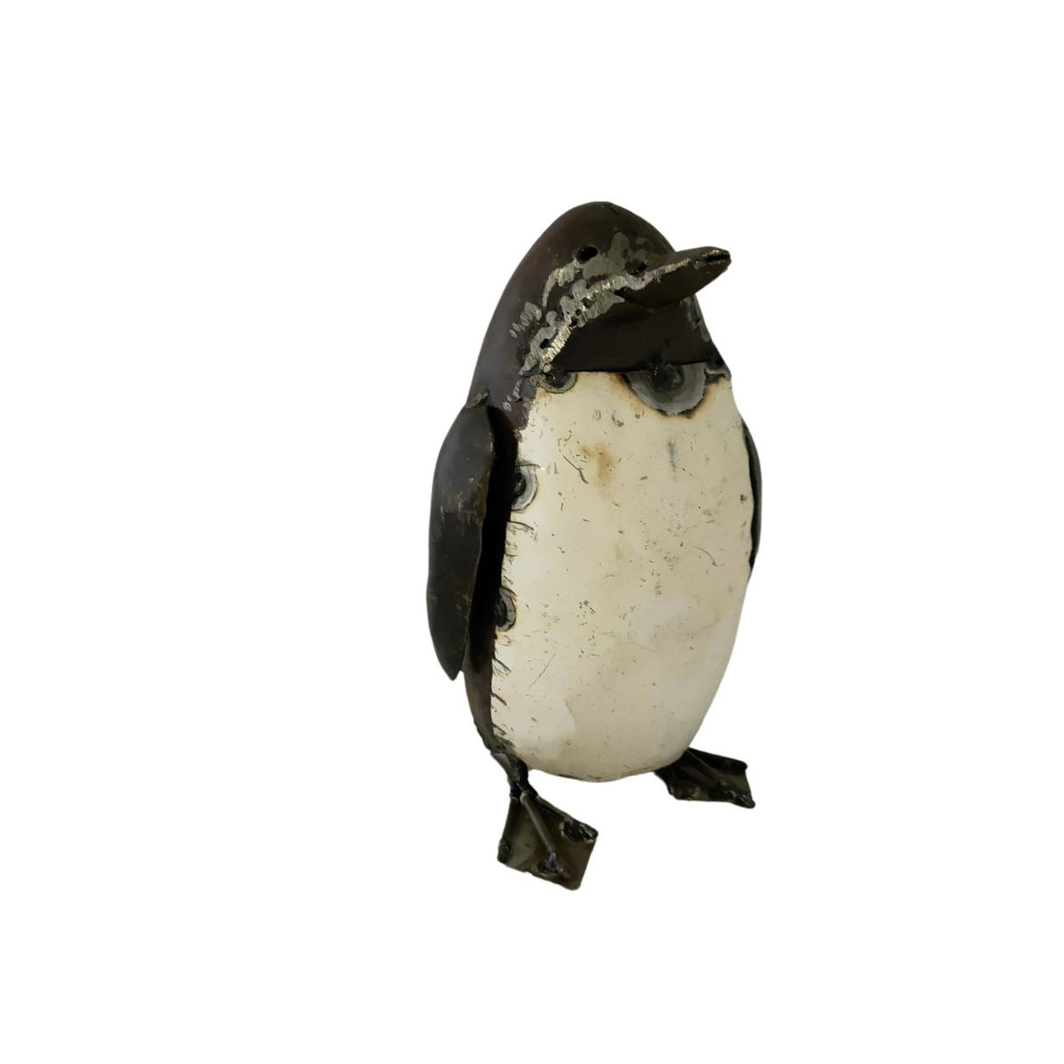 Pingouin adulte