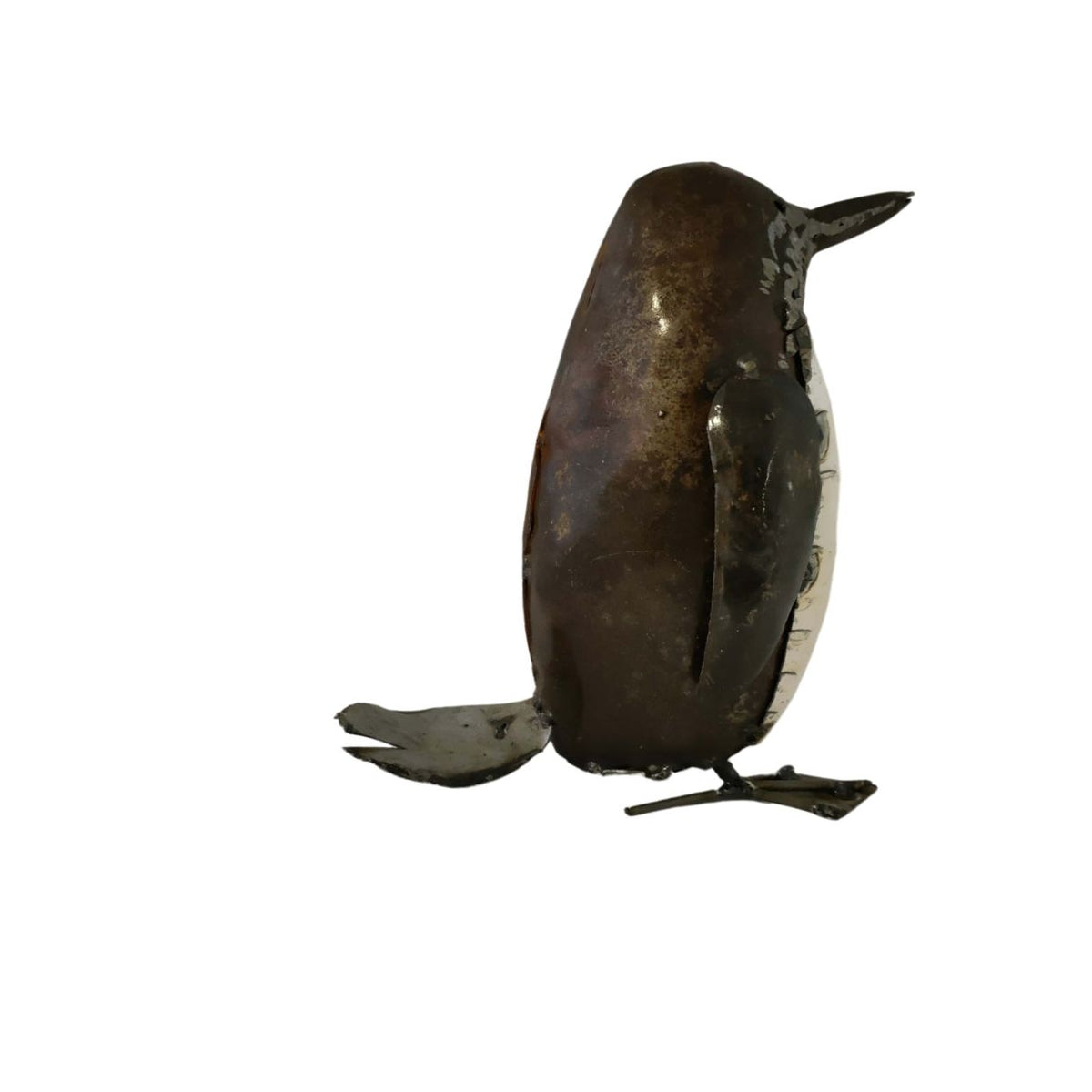 Pingouin adulte