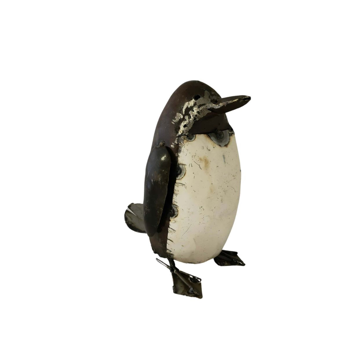 Pingouin adulte