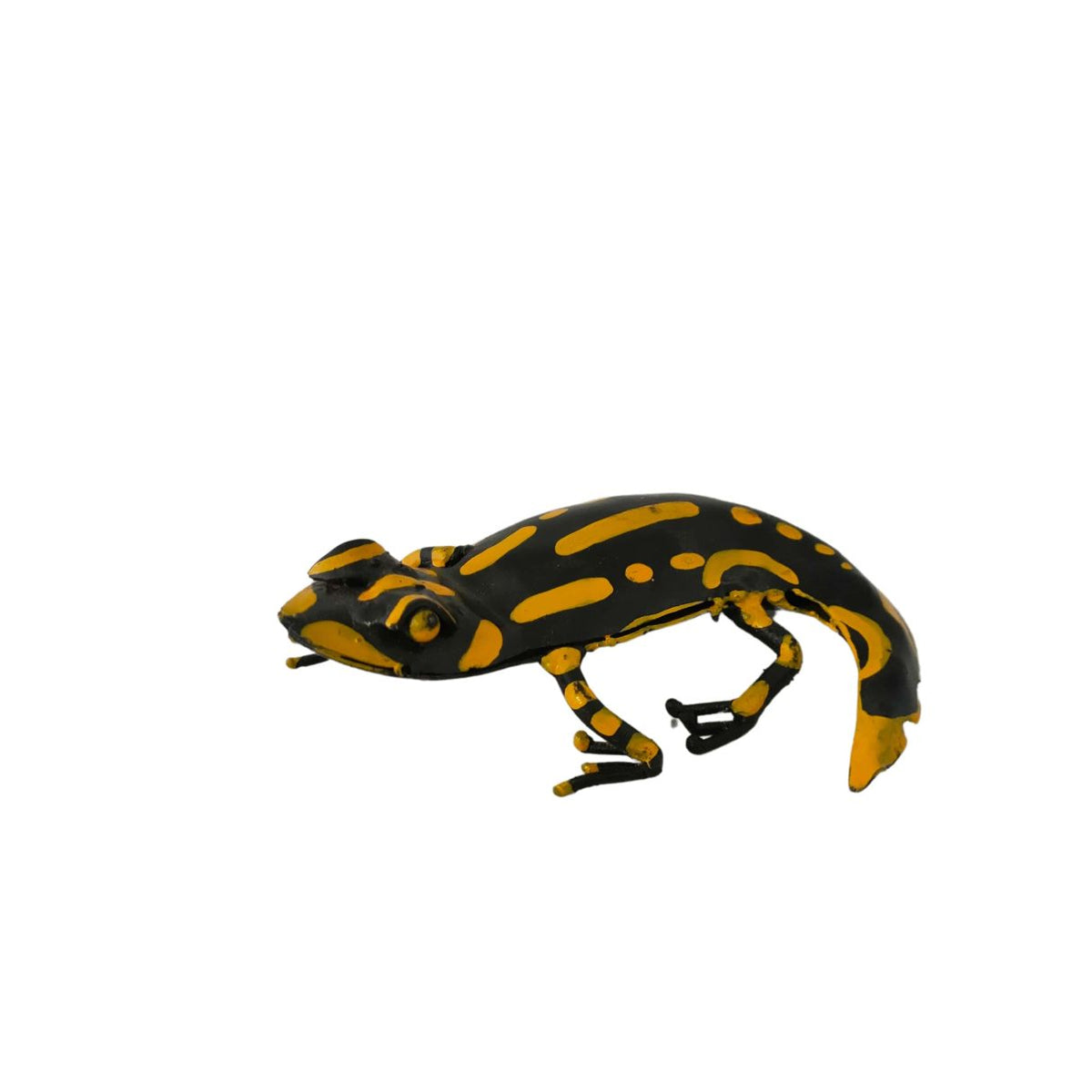 Salamandre jaune
