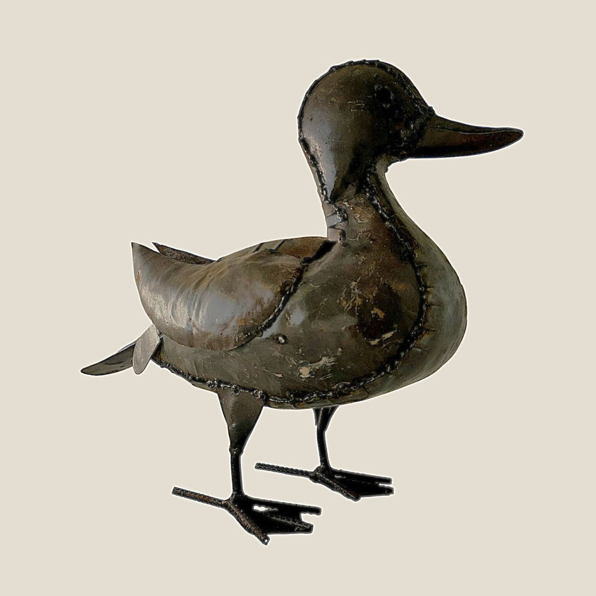 Canard sarcelle d'été grande
