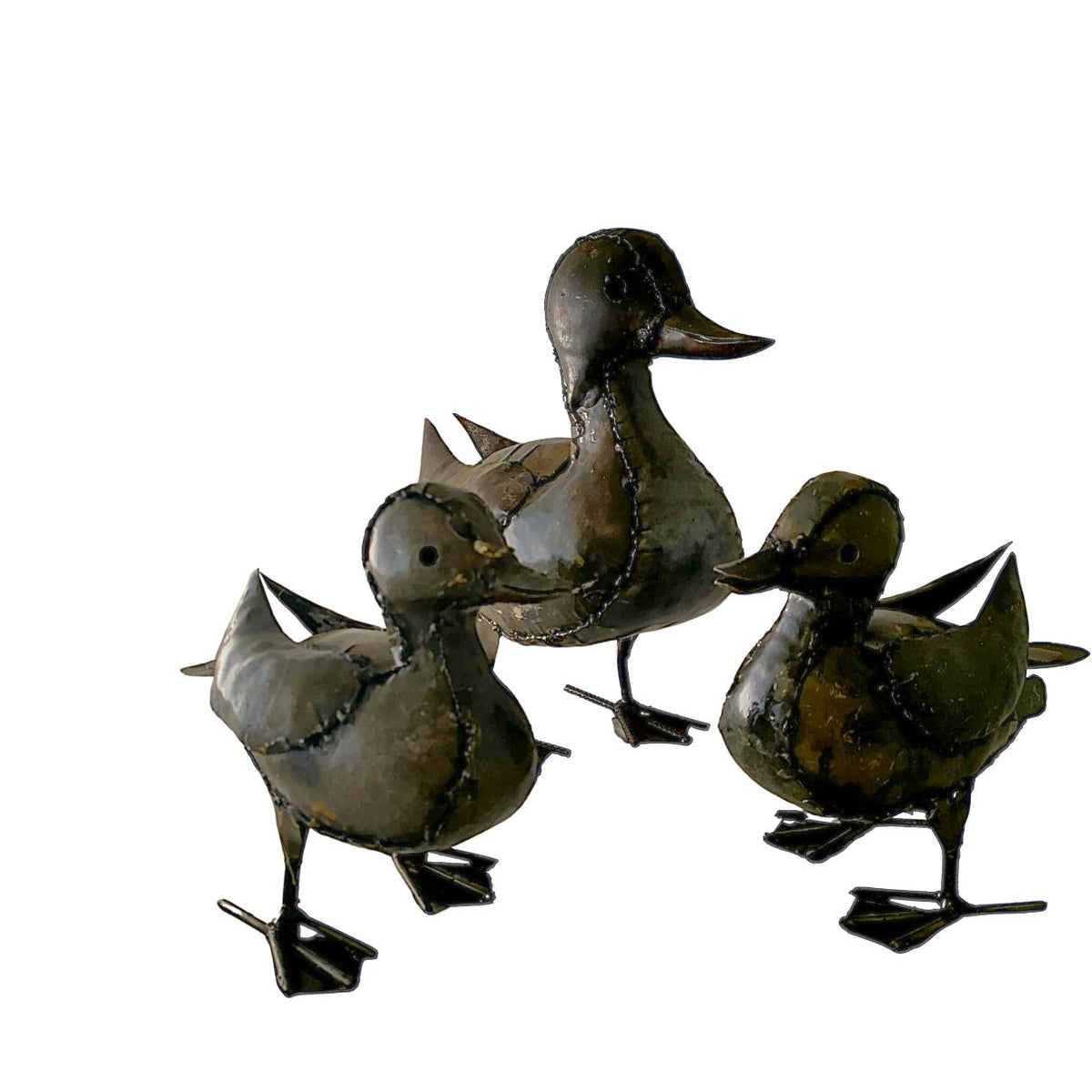 Canard sarcelle d'été grande