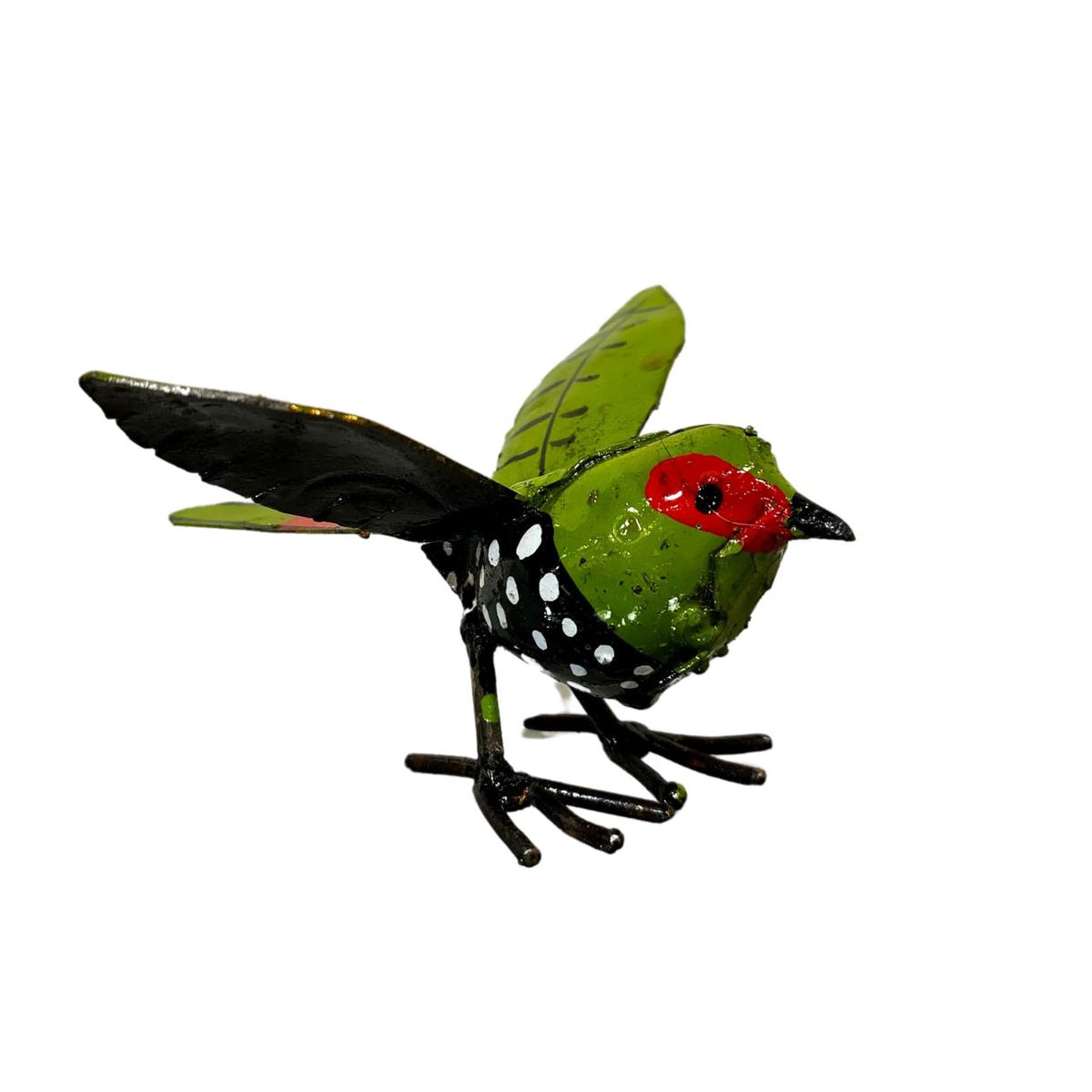 Sénégali vert peint ailes ouvertes