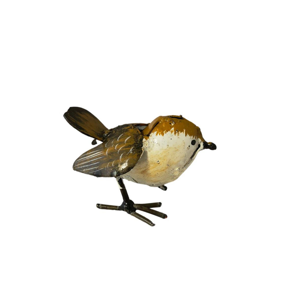 Troglodyte mignon oisillon