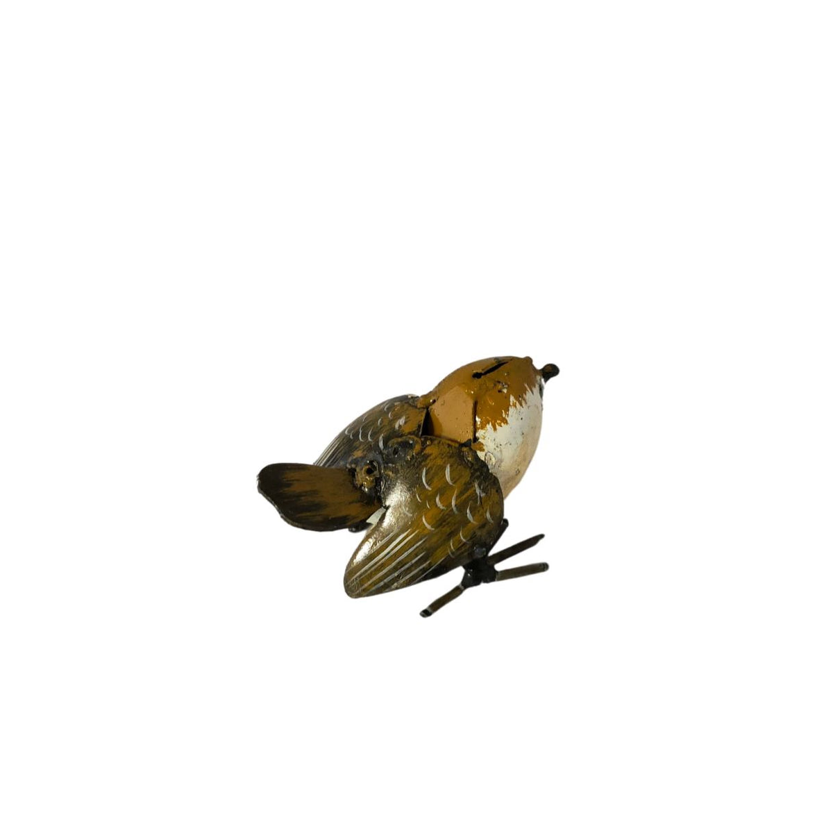 Troglodyte mignon oisillon
