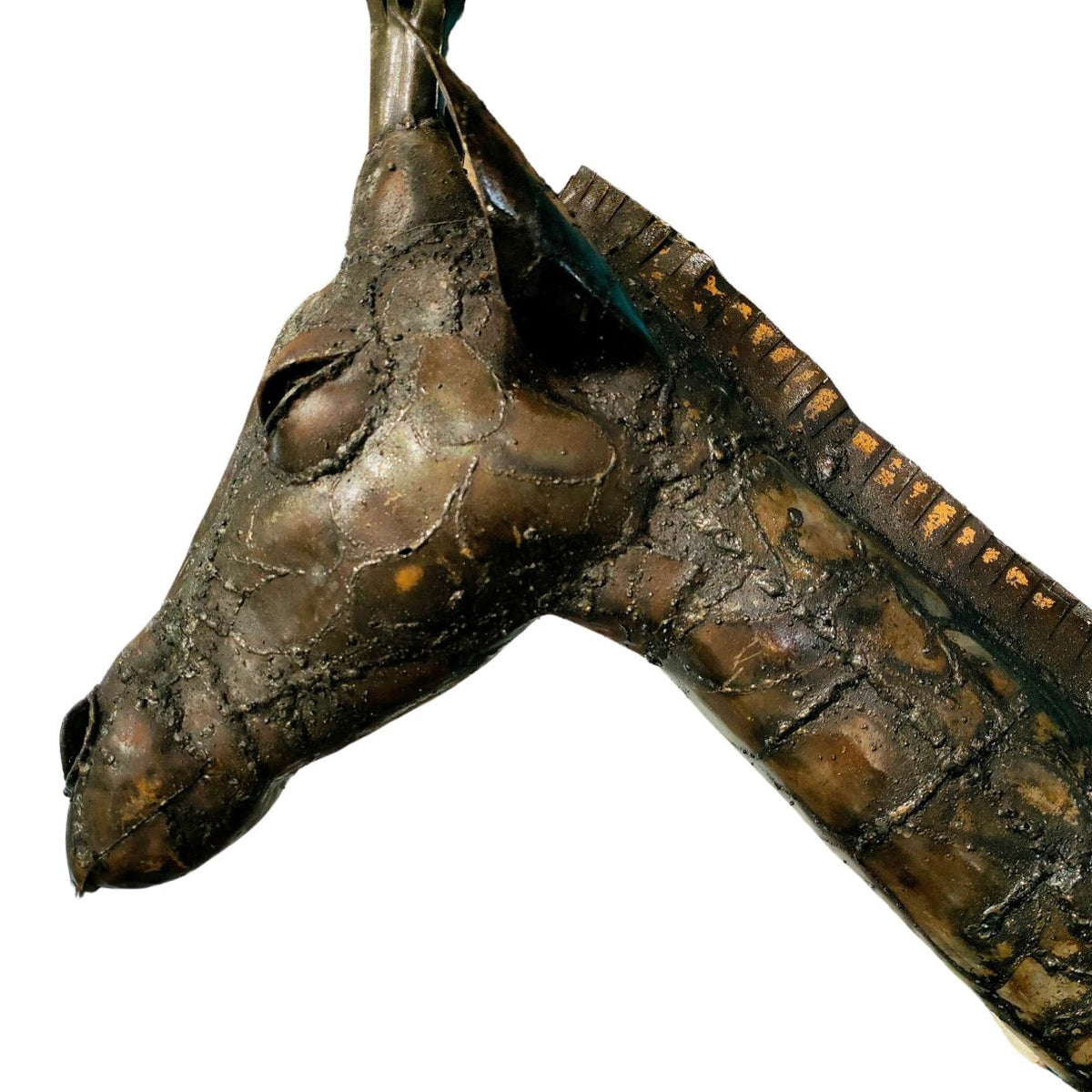 Trophée girafe