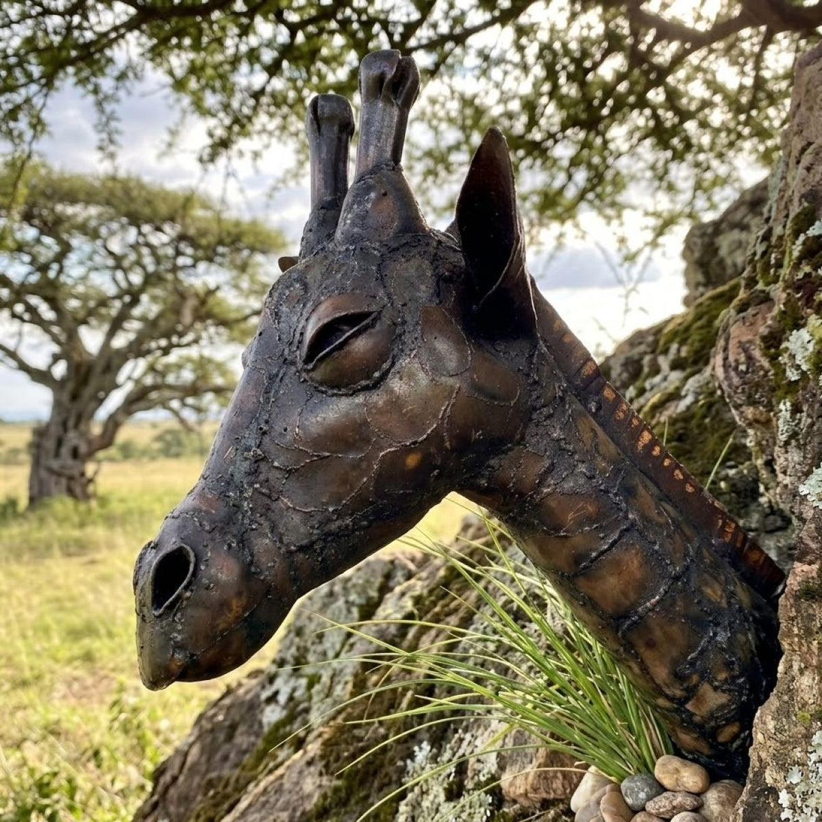 Trophée girafe
