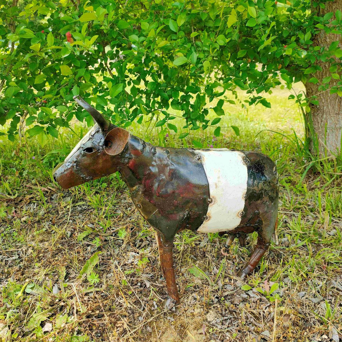 Vache prim’holstein