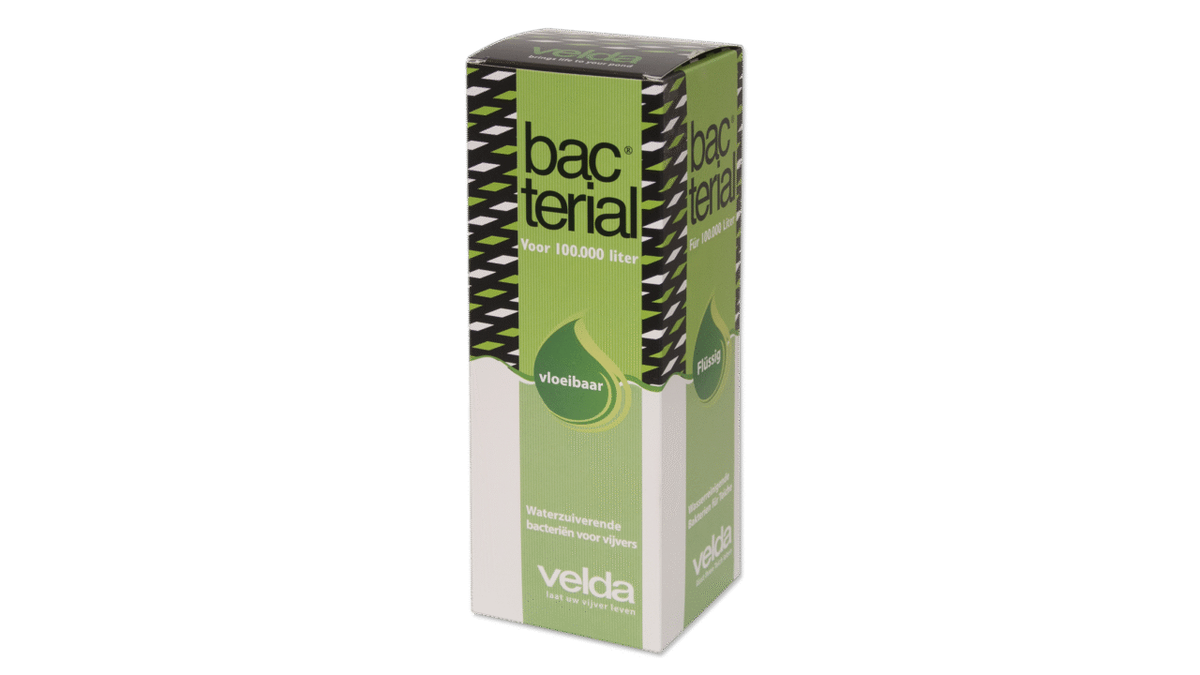 Bacterial Liquid 1000 ml - Velda