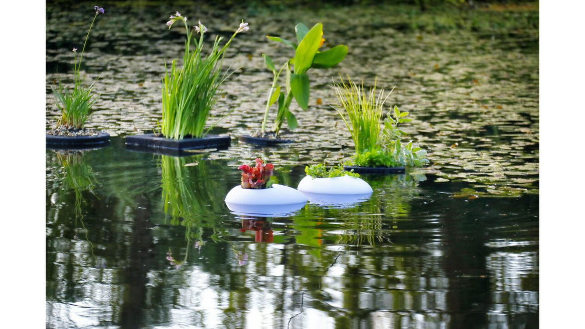 Éclairage flottant pour bassin Floating Pond Light - Velda