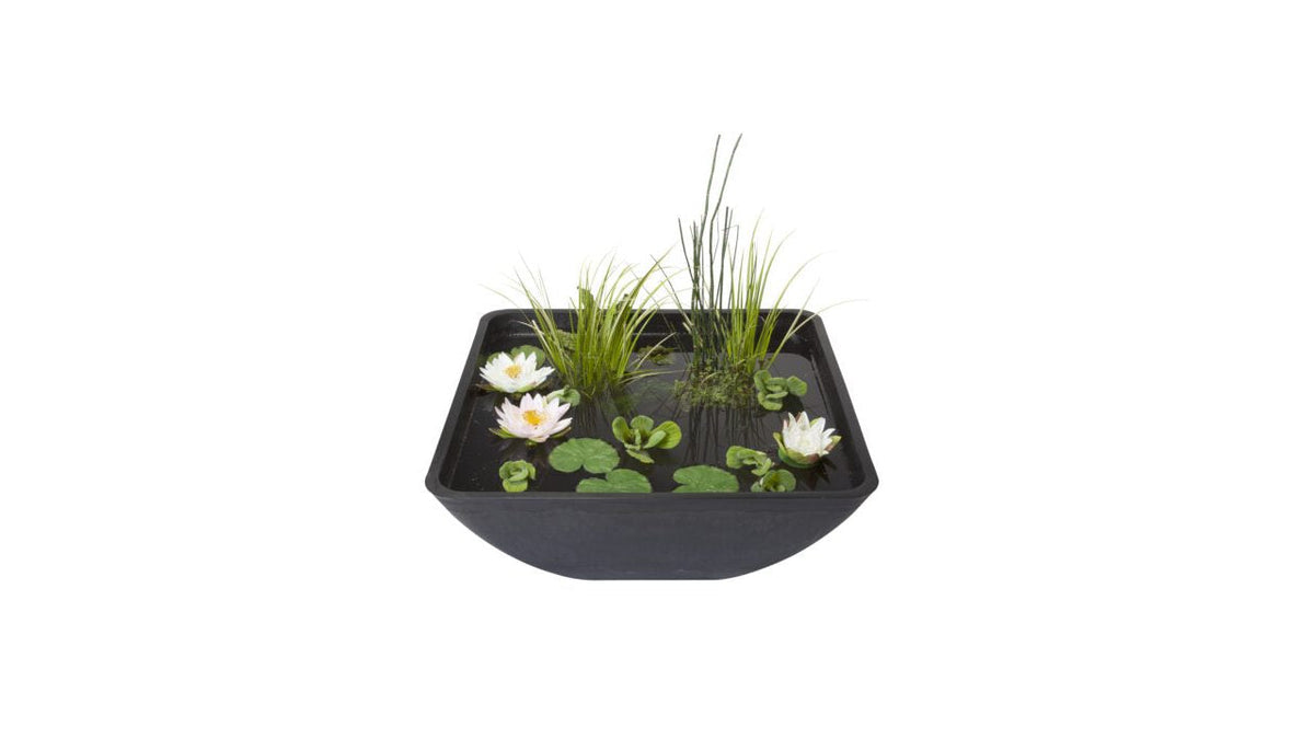 Bassin décoratif Fountain Pond carré 75x75x35 cm - Velda