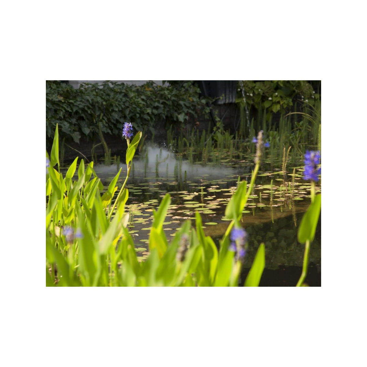 Brumisateur flottant Floating Mistmaker - Velda