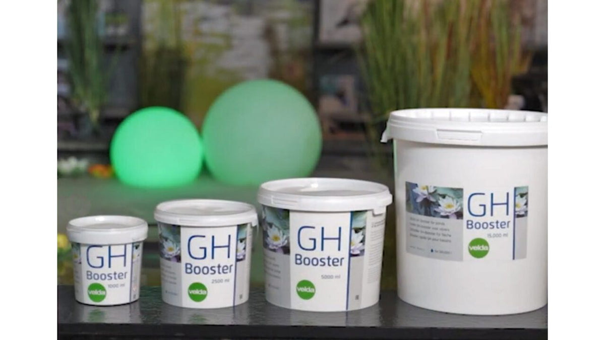 GH Booster 2,5 L - Velda