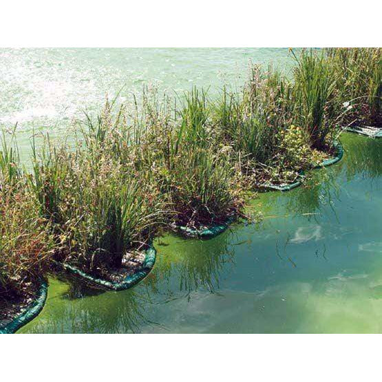 Aquigarden Accessoires pour plantes Île flottante pour plantes aquatiques en triangle 111 X 111 X 153CM 8717605078939 SG384