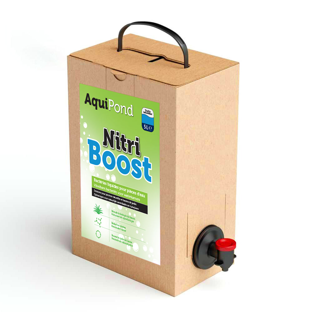 Aquipond NitriBoost 5 L : bactéries nitrifiantes, 50 m³